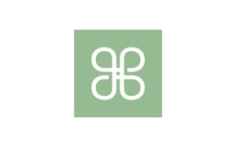 باتشي logo